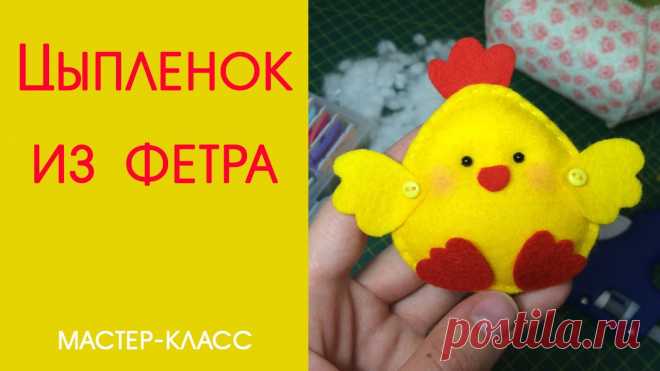 ciplenok-iz-fetra-ckLM-o.jpg (1280×720)