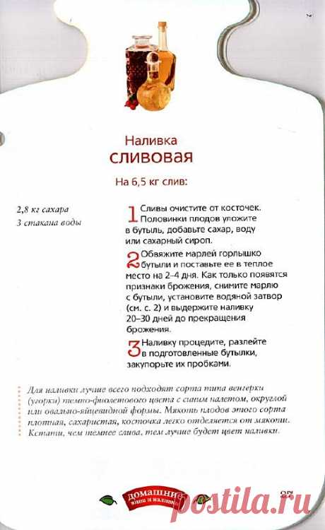 590b91f2ab46.jpg (505×823)
