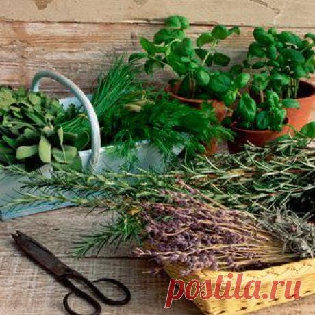 Курение и алкоголь уже не только вредно и не модно, но и очень дорого! Спасти своих близких и любимых можно даже без их ведома! Завариваем и пьем чай! Результат через 21 день
Веб-сайт:https://web.pokupkiful.ru/