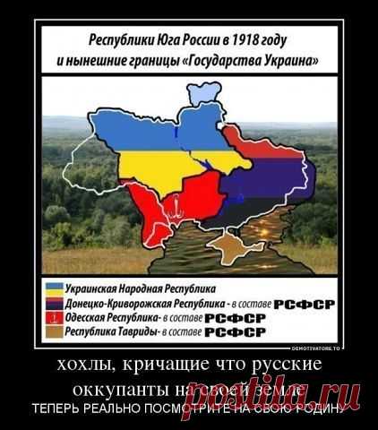 сатира | Фотографии 1-й Украинский ИНТЕР-ФРОНТ | 12973 фото | Группы Мой Мир