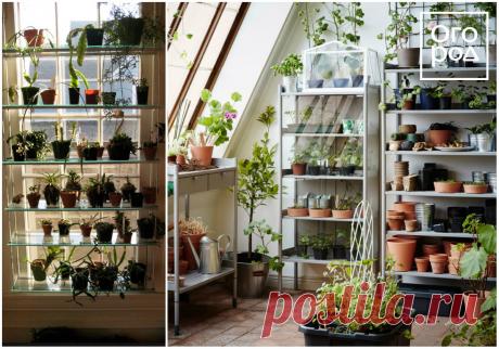 Стеллаж для рассады: зачем нужен и как сделать своими руками | На грядке (Огород.ru)