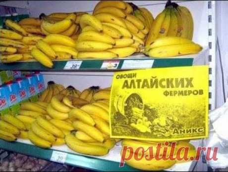 Никогда не унываю