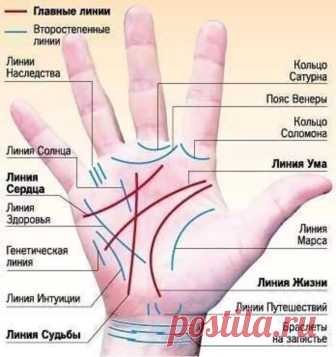 Гадание по руке. Хиромантия. Гадание на руке по линиям