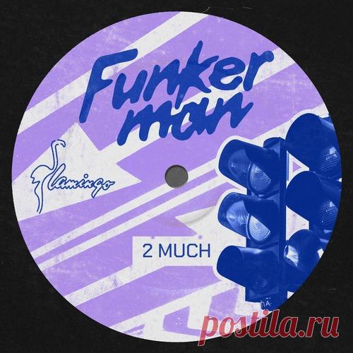 Download Funkerman - 2 MUCH - Extended Mix Label Flamingo Recordings Styles Melodic House & Techno Date 2024-12-20 Catalog # AMM956 Length 5:34 Tracks 1