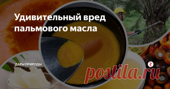 Удивительный вред пальмового масла Конфеты, мороженое, печенье, чипсы, замороженные продукты и готовые супы, что объединяет эти продукты? Достаточно посмотреть на этикетку, и в составе каждого из них мы найдем пальмовое масло. Да, действительно, это масло можно найти во многих пищевых продуктах, где оно может быть скрыто под такими названиями, как:
• закаленный растительный жир;
• растительный жир или растительное масло.
Звучит оче