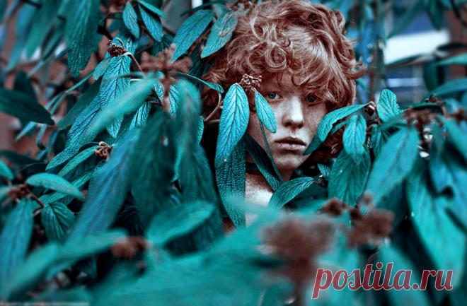 Война за умы. Противостояние Запада и России | Психологические тренинги и курсы он-лайн. Системно-векторная психология Юрия Бурлана