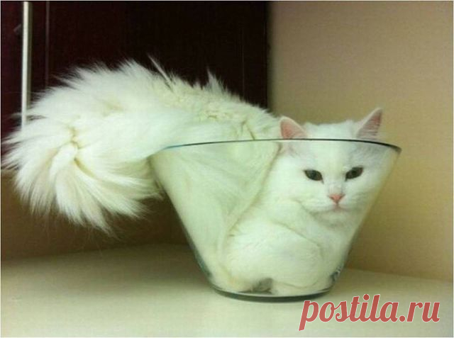 хх