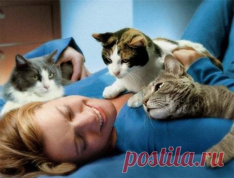 Новости - МирТесен