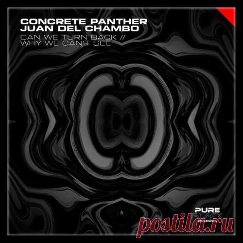 Download Concrete Panther, Juan Del Chambo - Can We Turn Back // Why Can't We See Label Pure Black Records Styles Techno (Peak Time / Driving) Date 2025-01-16 Catalog # PBR29 Length 12:10 Tracks 2