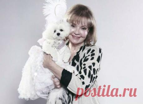 Собаке завещают 1 миллион фунтов и дом | Англофил