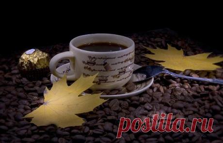 Пью кофе вместе с осенью. 
Осень кофе на завтрак варила…
как божественно плыл аромат!
Чтобы грусть от души отступила,
добавляла с улыбкою милой
в свой напиток цветной листопад...

Лидия Клочкова