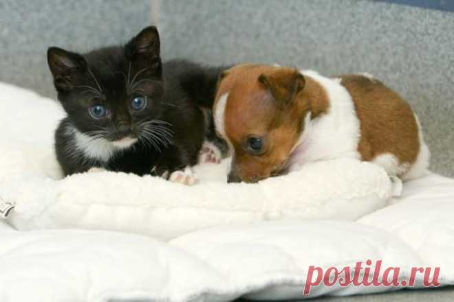 (2) Facebook