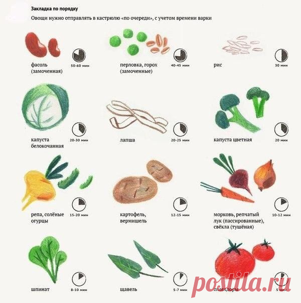 В каком порядке необходимо класть продукты в суп...