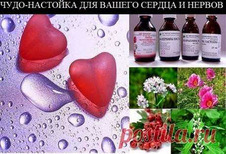 Ваш личный врач.: ЧУДО-НАСТОЙКА ДЛЯ ВАШЕГО СЕРДЦА И НЕРВОВ