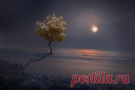 Фотография пользователя Igor Zenin - 18 декабря из раздела пейзаж №4882173 - фото.сайт - Photosight.ru