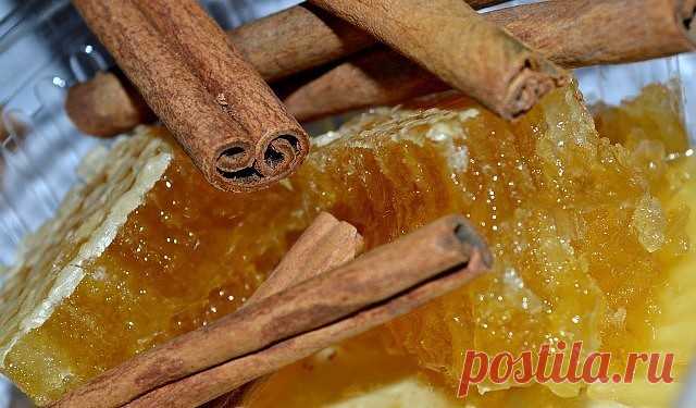 КОРИЦА И МЁД В ПОМОЩЬ ЗДОРОВЬЮ. 15 ЛУЧШИХ РЕЦЕПТОВ!