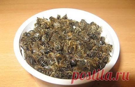 Пчелиный подмор поднимет умирающего!