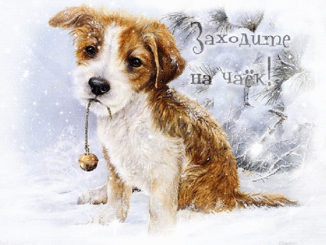 Мой Мир@Mail.Ru