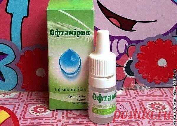 Как вылечить ячмень быстро / Здоровье