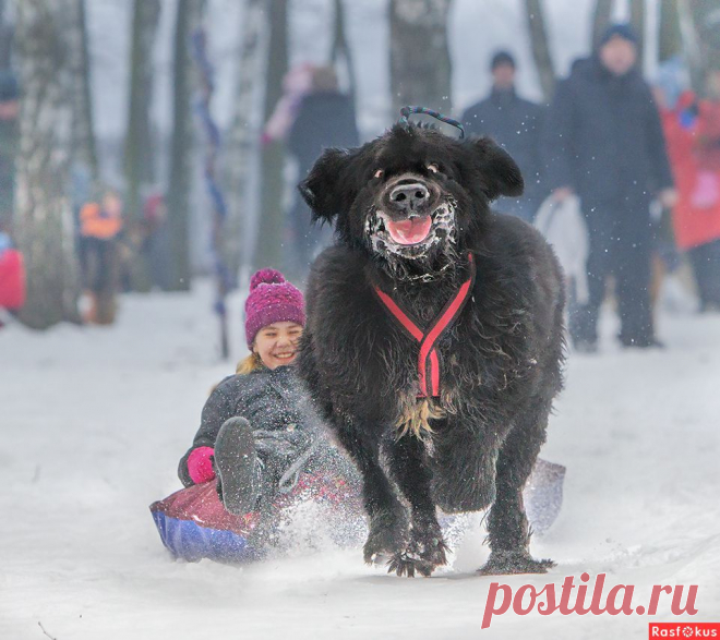 : Полёты на метле. Фотограф игорь перфильев. Спорт - Фото и фотограф на Расфокусе.