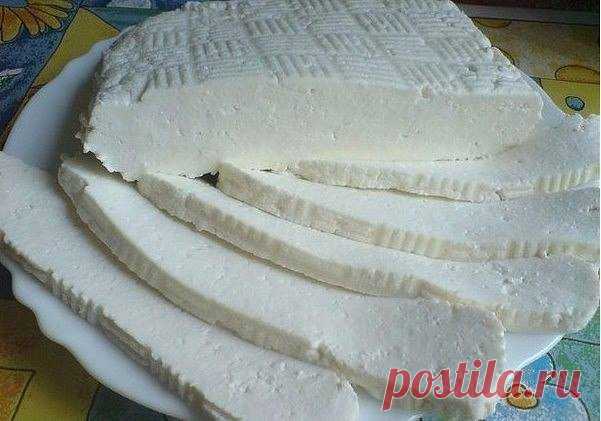 ТОП - 14 Подборка вкусных домашних сыров! 

Рукодельница. Женский клуб.
 

 







ТОП - 14 Подборка вкусных домашних сыров!1.Домашняя моцарелла.Ингредиенты:На 2 порции:1 л молока125 г натурального йогурта1,5 ч.л. соли (можно больше, кто как…