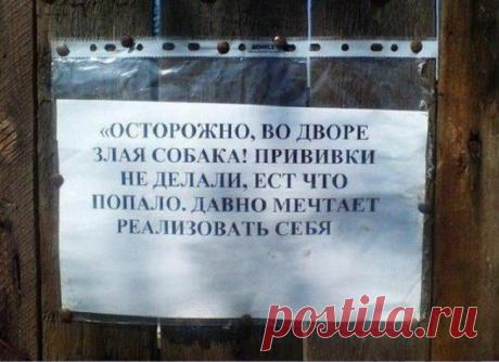 19 убойных табличек, предостерегающих от злых собак