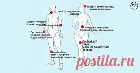 (3) Страницы