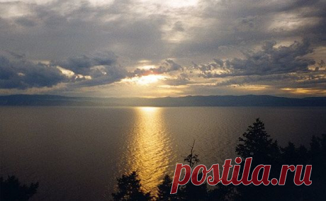 Новости Амурской области