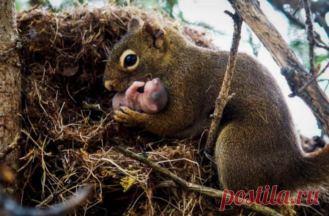 15 фоток с очень неожиданным сюжетом