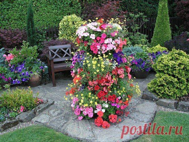 КАК РАЗВОДИТЬ ПЕТУНИИ