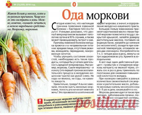 Ода моркови