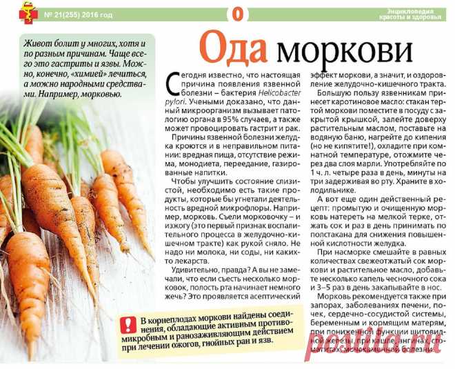 Ода моркови