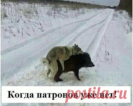 (76) Одноклассники