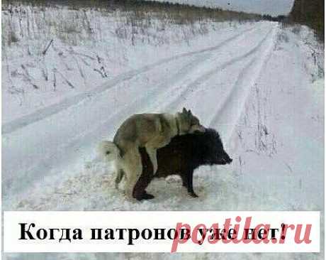 (76) Одноклассники