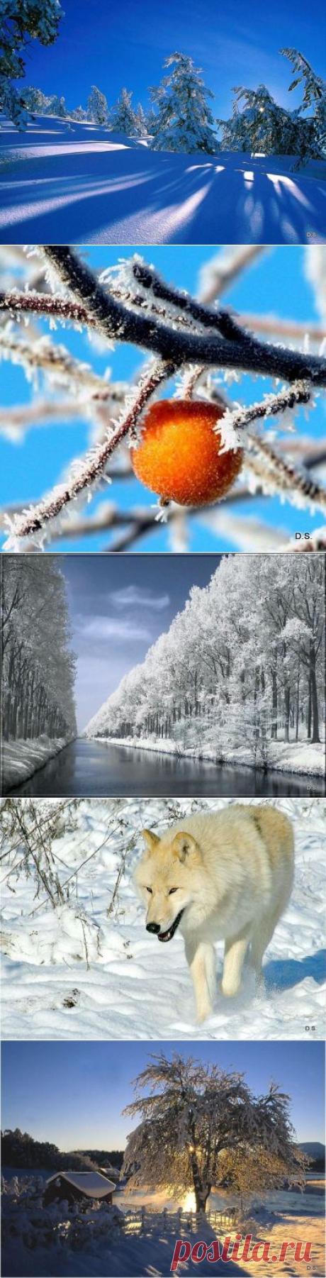 Яндекс.Почта