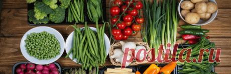 Посадка растений по знакам Зодиака: лунный посевной календарь с благоприятными знаками Зодиака Как влияют знаки Зодиака на посадку растений: самые плодородные знаки при посеве растений