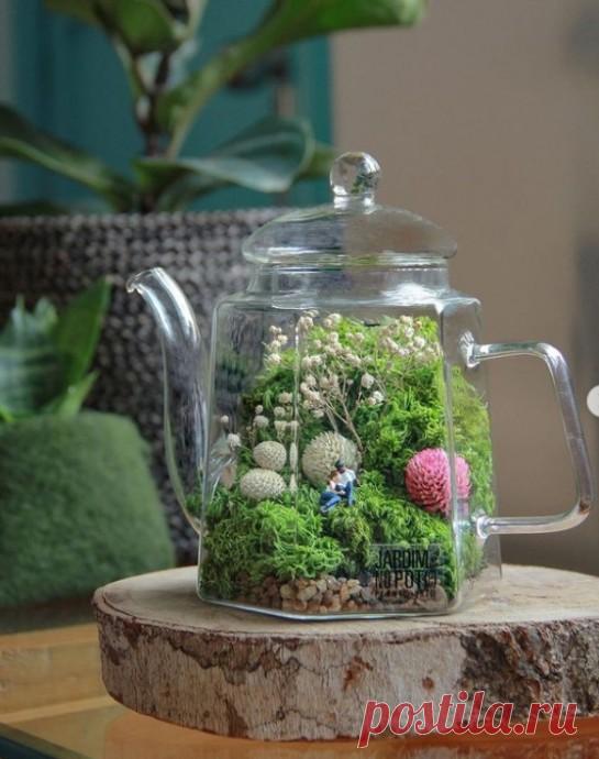 ​Сад в бутылке