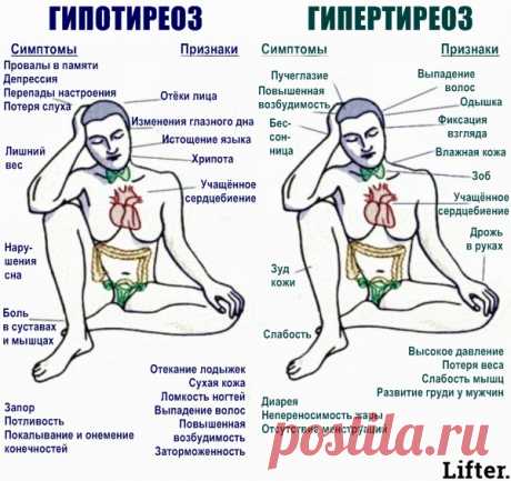 93% людей с проблемами со щитовидкой не знают об этом! Вот вся информация!