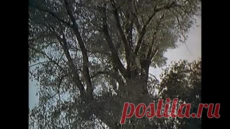 &quot;НА ПОЛУСТАНКЕ ЛЮБВИ&quot;!!!