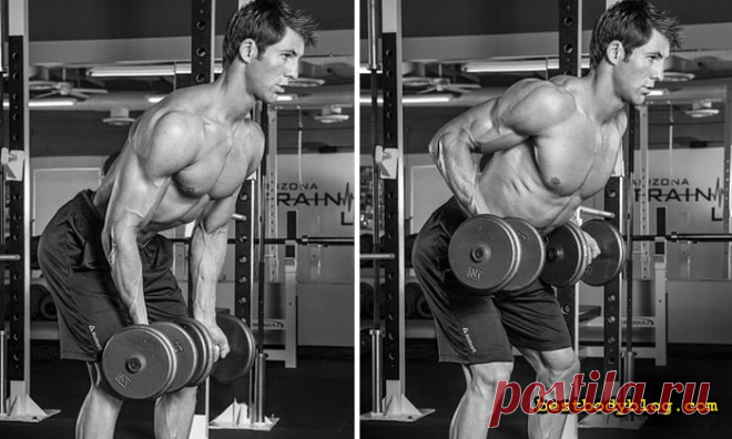 5 упражнений на спину с гантелями в домашних условиях | bestbodyblog.com