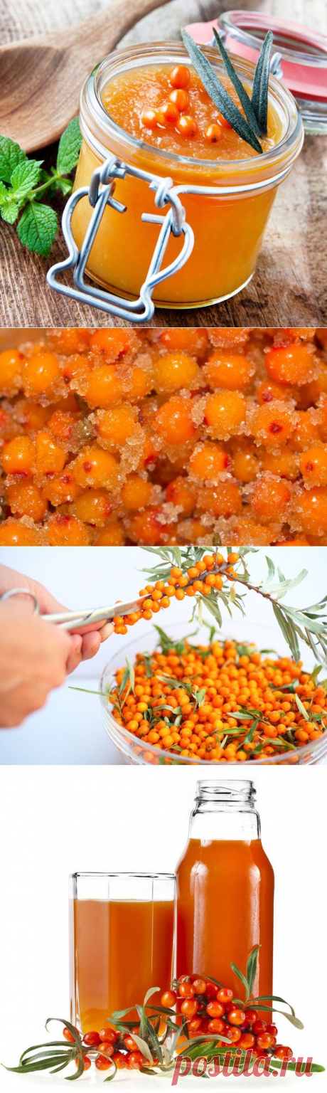 Облепиха: полезные и вкусные рецепты заготовок облепихи на зиму