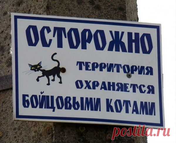 10 табличек, глядя на которые, жизнь становится веселее!