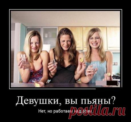 Демотиваторы дня