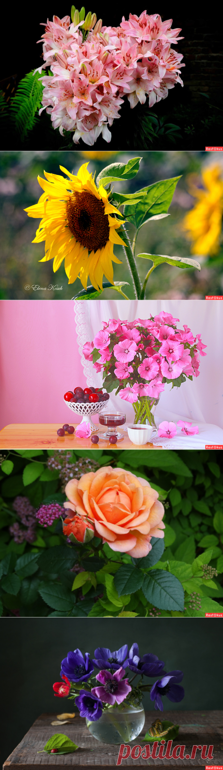 ✿ღ✿Красивые обои на рабочий стол✿ღ✿