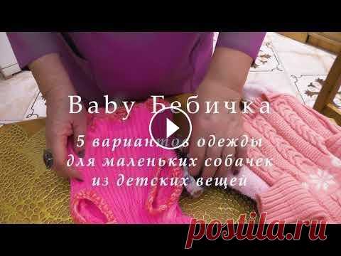 Одежда для маленьких собачек из старой детских вещей. Сегодня я расскажу, как можно сшить красивую и удобную одежду для ваших маленьких питомцев из не нужных детских вещей....