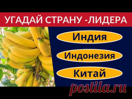 Крупнейшие производители в мире 🌍 Тест по географии и экономике 🌞 Угадай страну по продукту