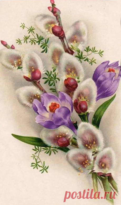 zM7oFbyVWVk.jpg (572×965)