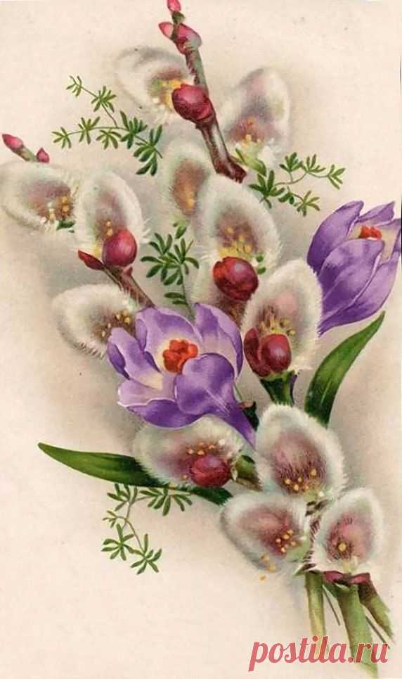 zM7oFbyVWVk.jpg (572×965)
