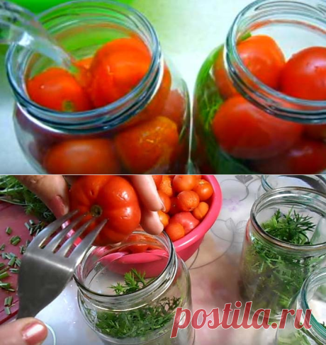 Помидоры с морковной ботвой на зиму - самые вкусные рецепты