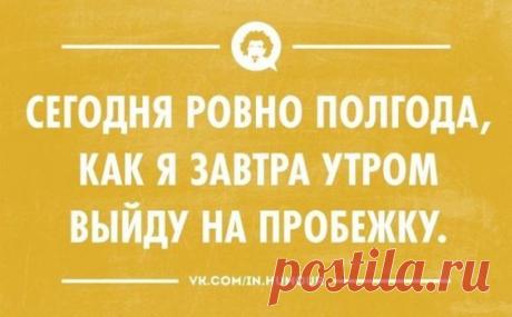 Подборка лучших шуток и анекдотов